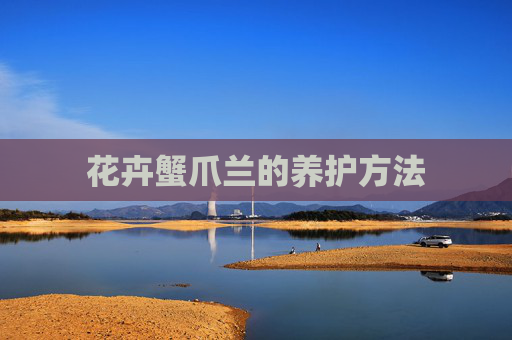 花卉蟹爪兰的养护方法