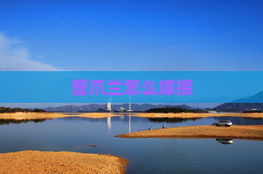 蟹爪兰怎么嫁接