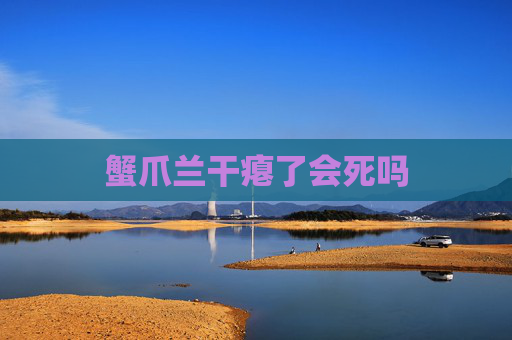 蟹爪兰干瘪了会死吗