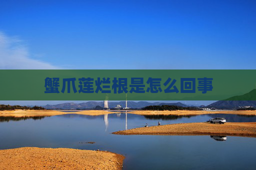 蟹爪莲烂根是怎么回事
