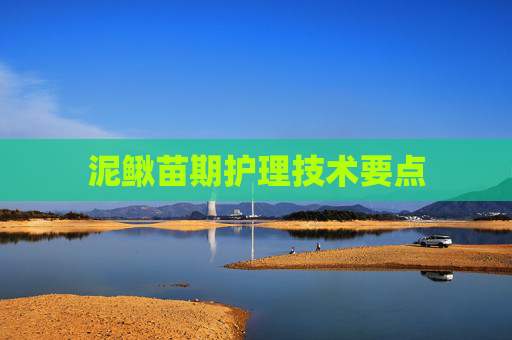泥鳅苗期护理技术要点