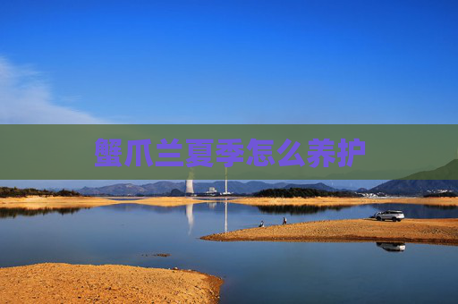 蟹爪兰夏季怎么养护