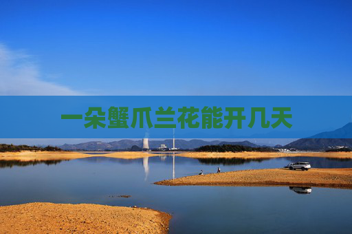 一朵蟹爪兰花能开几天
