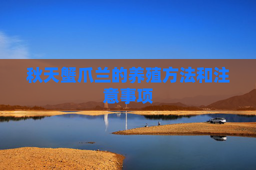 秋天蟹爪兰的养殖方法和注意事项