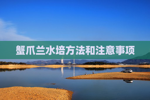 蟹爪兰水培方法和注意事项