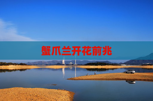 蟹爪兰开花前兆