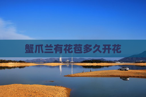 蟹爪兰有花苞多久开花