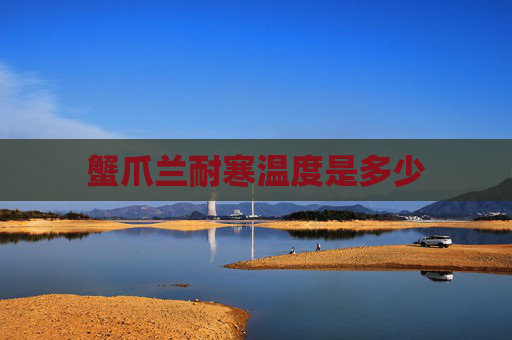 蟹爪兰耐寒温度是多少