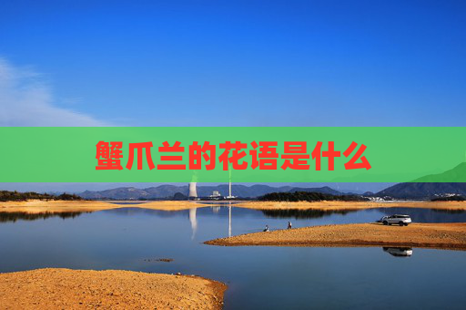 蟹爪兰的花语是什么