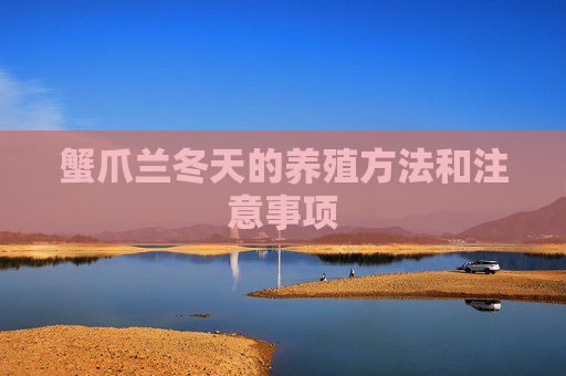 蟹爪兰冬天的养殖方法和注意事项