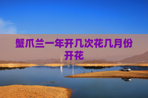 蟹爪兰一年开几次花几月份开花