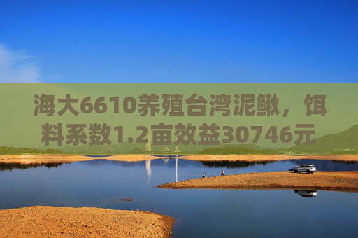 海大6610养殖台湾泥鳅，饵料系数1.2亩效益30746元