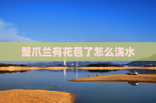 蟹爪兰有花苞了怎么浇水