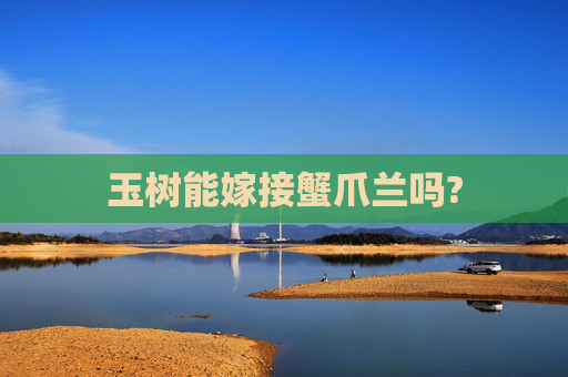 玉树能嫁接蟹爪兰吗?