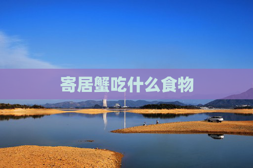 寄居蟹吃什么食物