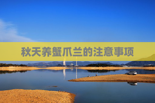秋天养蟹爪兰的注意事项