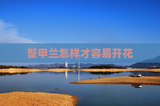 蟹甲兰怎样才容易开花