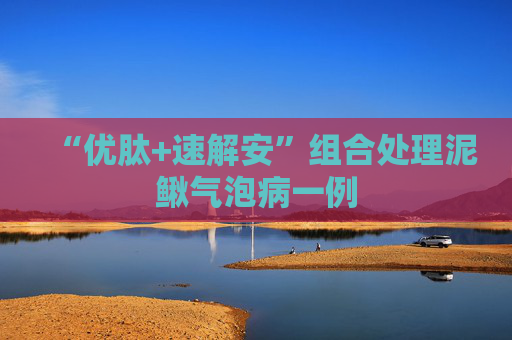 “优肽+速解安”组合处理泥鳅气泡病一例