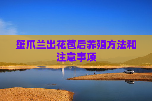 蟹爪兰出花苞后养殖方法和注意事项