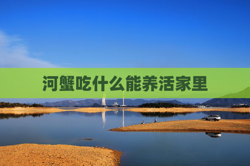 河蟹吃什么能养活家里