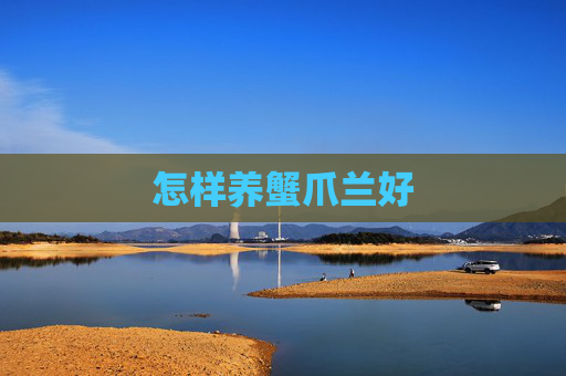 怎样养蟹爪兰好