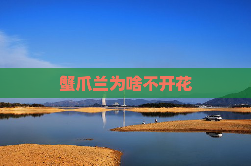 蟹爪兰为啥不开花