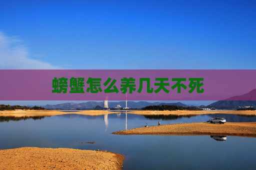 螃蟹怎么养几天不死