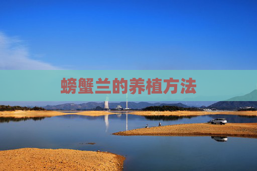 螃蟹兰的养植方法
