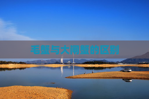 毛蟹与大闸蟹的区别