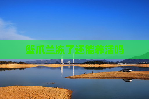 蟹爪兰冻了还能养活吗