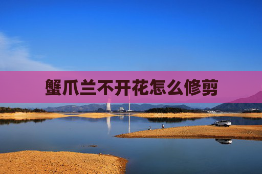 蟹爪兰不开花怎么修剪