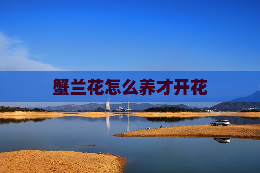 蟹兰花怎么养才开花