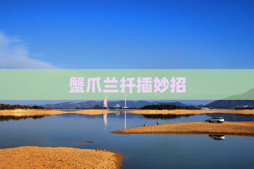 蟹爪兰扦插妙招