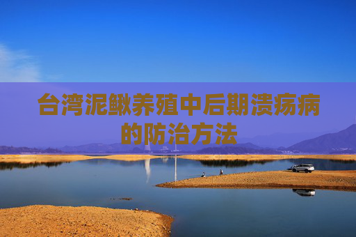 台湾泥鳅养殖中后期溃疡病的防治方法