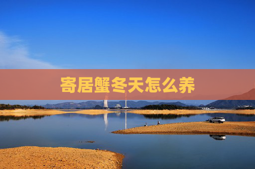 寄居蟹冬天怎么养