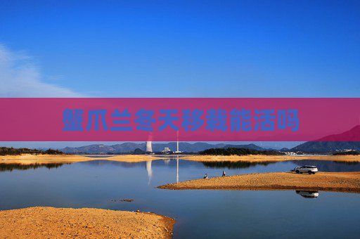 蟹爪兰冬天移栽能活吗
