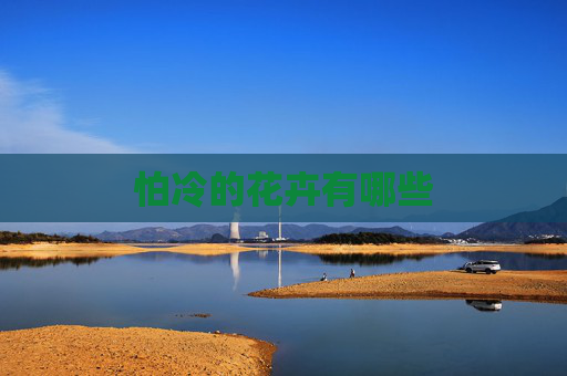 怕冷的花卉有哪些