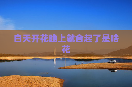 白天开花晚上就合起了是啥花