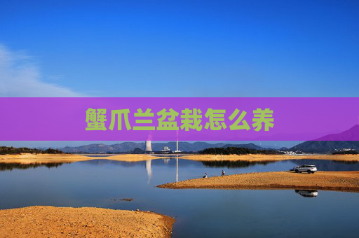 蟹爪兰盆栽怎么养