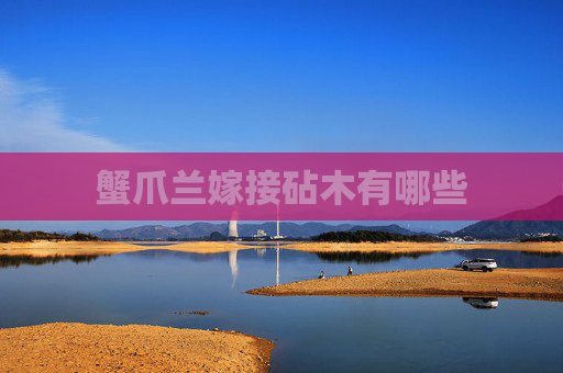 蟹爪兰嫁接砧木有哪些