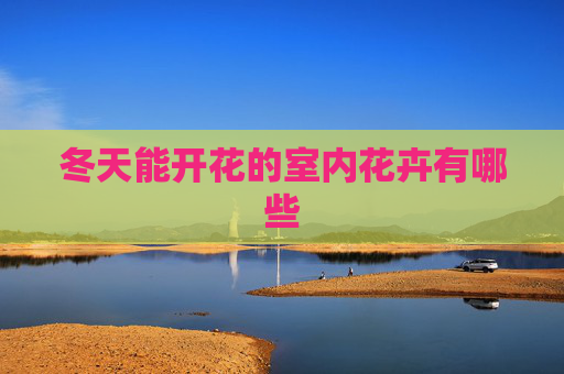 冬天能开花的室内花卉有哪些