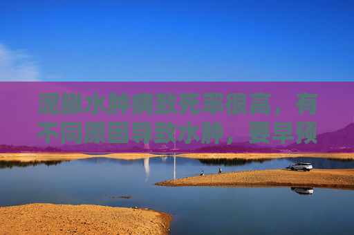 泥鳅水肿病致死率很高，有不同原因导致水肿，要早预防早发现早治疗