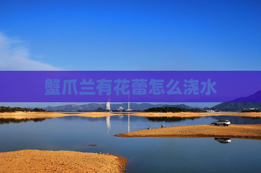 蟹爪兰有花蕾怎么浇水