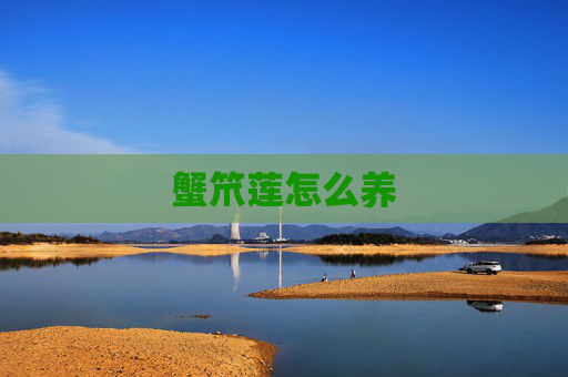 蟹笊莲怎么养