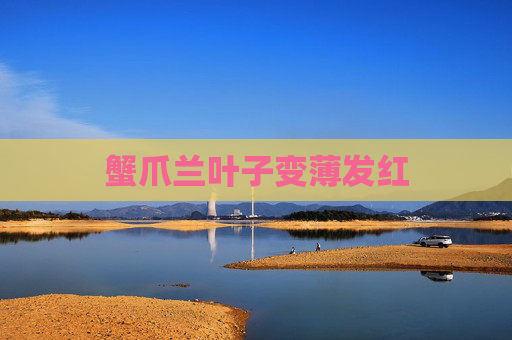 蟹爪兰叶子变薄发红