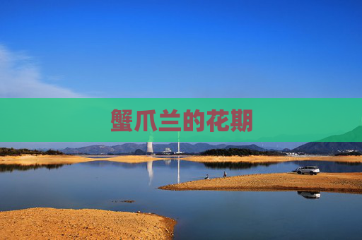 蟹爪兰的花期