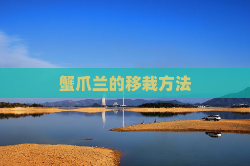 蟹爪兰的移栽方法