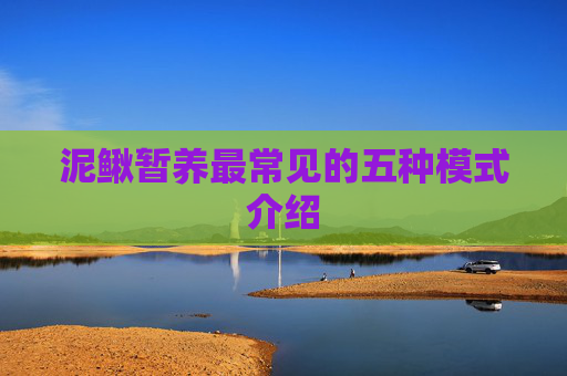 泥鳅暂养最常见的五种模式介绍