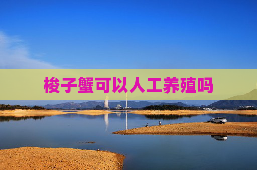 梭子蟹可以人工养殖吗