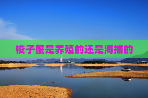 梭子蟹是养殖的还是海捕的